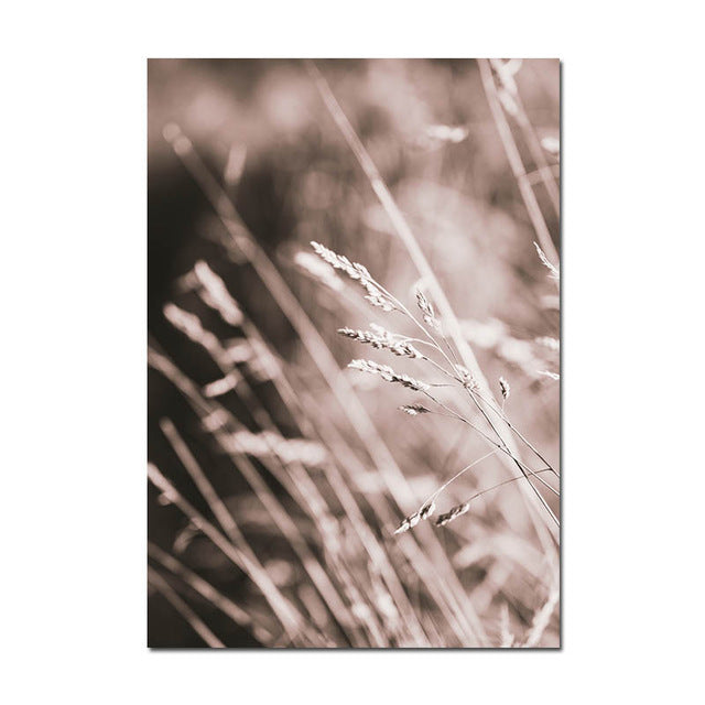 Grass Nature Scenery Picture Flower Plant - Little Eudora