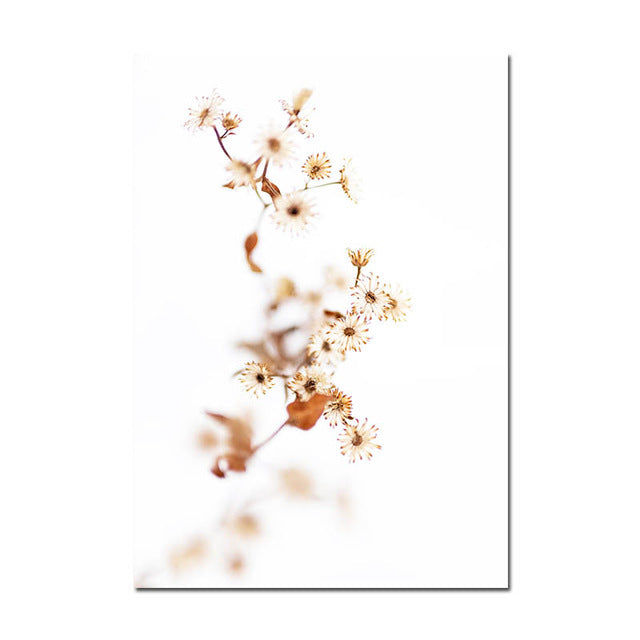 Grass Nature Scenery Picture Flower Plant - Little Eudora