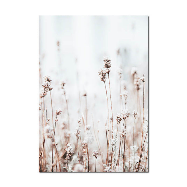 Grass Nature Scenery Picture Flower Plant - Little Eudora