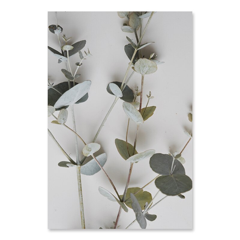 Botanical Eucalyptus Leaves Modern Canvas Paintings Posters and Prints Interior for Living Room Hallway Home Decor No Frame - Little Eudora