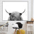 Black and White Highland Cow Cattle