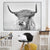 Black and White Highland Cow Cattle