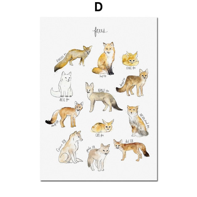 Dinosaur Lion Fox Deer Animal Wall Art